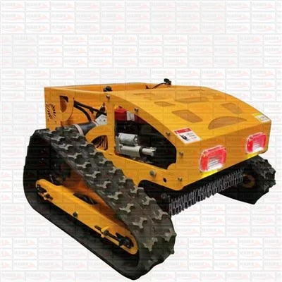 RC  Lawn  Mower
